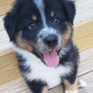 Meet your Posher, Ericka